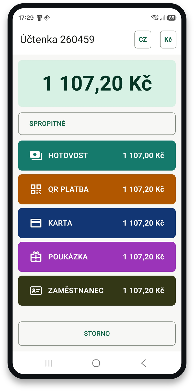 Přehled způsobů platby s částkami